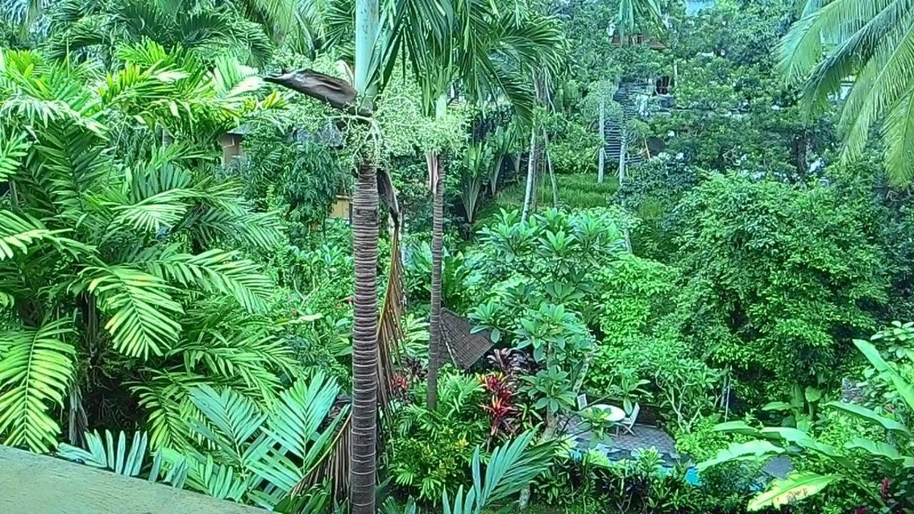 Sari Wangi Cottage Ubud  Ngoại thất bức ảnh